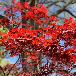 Meet your Posher, Ebony
